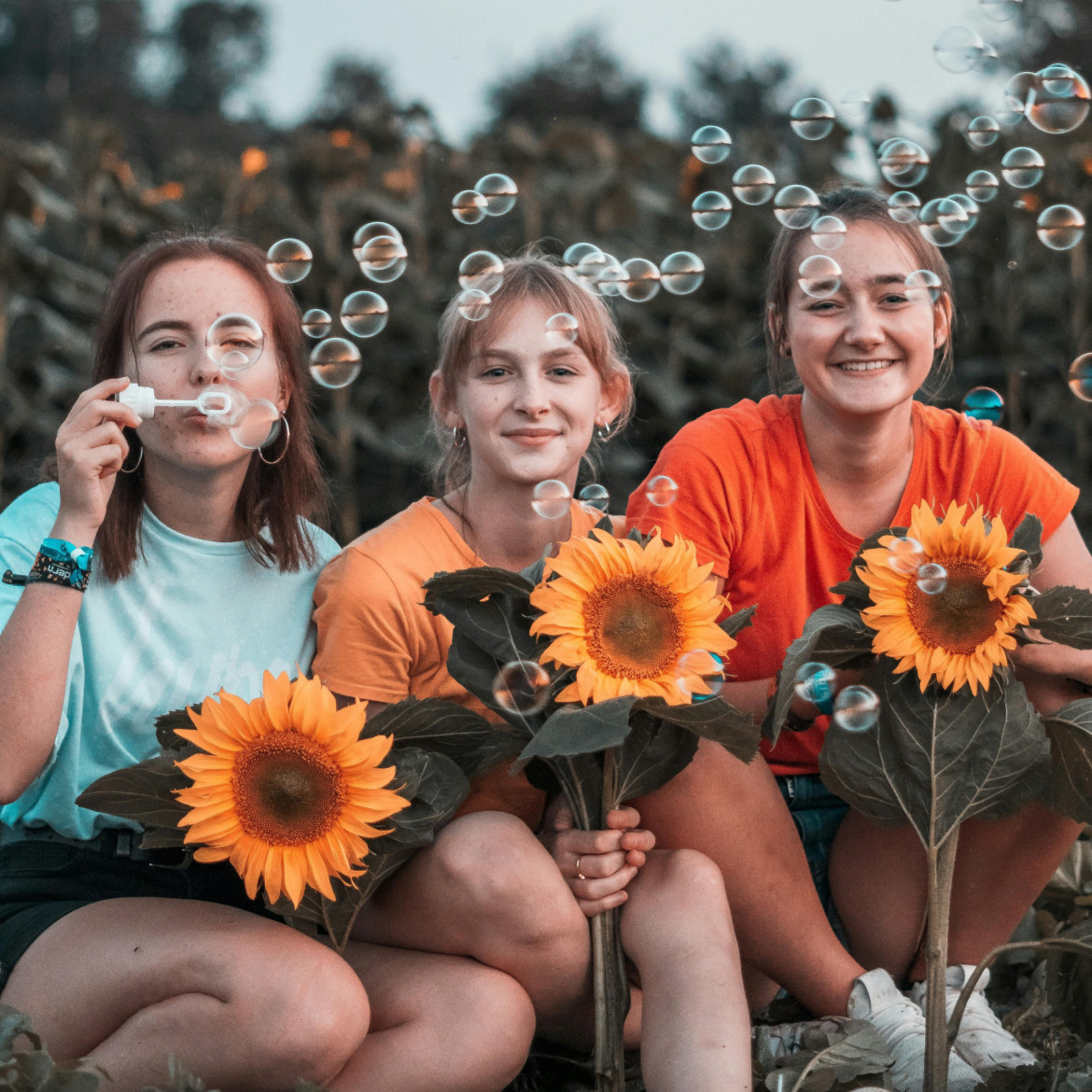 2pexels-floriandoppler-3225762